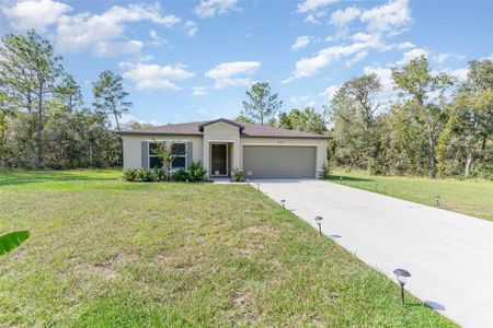 New construction Single-Family house 3177 W Eldridge Dr, Citrus Springs, FL 34433 plan Braselton - image