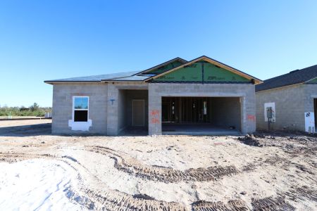 New construction Single-Family house 3150 Adams Cross Dr, Zephyrhills, FL 33540 Miranda- photo 22 22