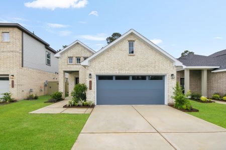 New construction Single-Family house 39514 Yellow Heron Wy, Magnolia, TX 77354 plan Paisley - image