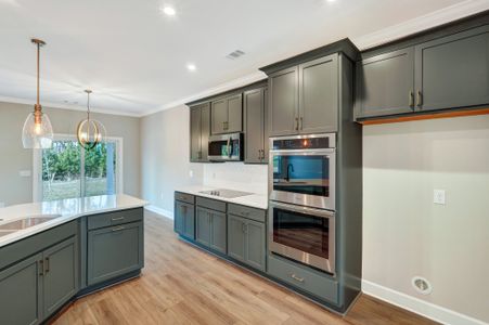 New construction Single-Family house 51 Hanover Pl, Richmond Hill, GA 31324 plan Hilton - image 13