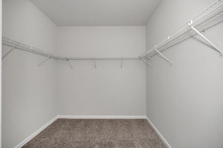 New construction Single-Family house 1903 Temple Grove Dr, Iowa Colony, TX 77583 plan The Avery - image 14