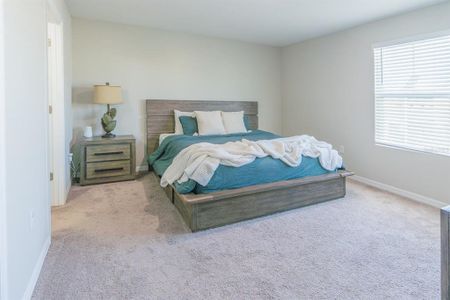 New construction Single-Family house 34284 Verbena St, Wesley Chapel, FL 33545 - image 11