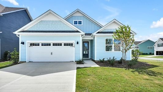 New construction Single-Family house 1180 Indigo Bunting Dr, Leland, NC 28451 plan Bradford - image