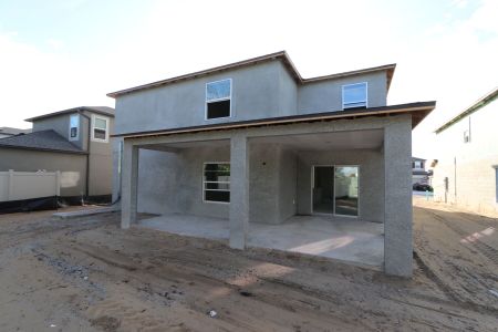 New construction Single-Family house 12134 Hilltop Farms Dr, Dade City, FL 33525 Malibu- photo 95 95