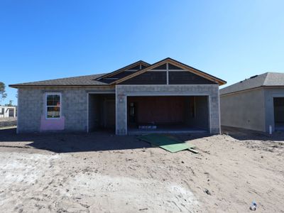 New construction Single-Family house 2912 Quinault Pl, Wimauma, FL 33598 plan Sentinel - image