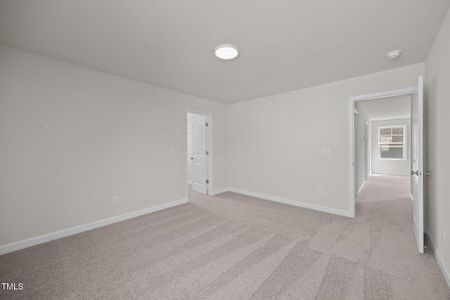 New construction Single-Family house 25 Malbec Wy, Youngsville, NC 27596 plan Rivermist - image 8