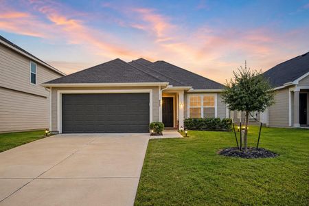 New construction Single-Family house 922 Luke Darrell Dr, Rosharon, TX 77583 - image