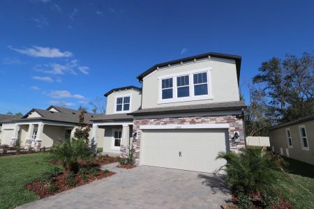 New construction Single-Family house 12008 Hilltop Farms Dr, Dade City, FL 33525 Alenza- photo 114 114