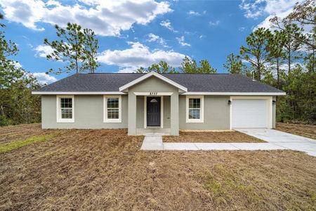 New construction Single-Family house 13331 Se 42Nd Avenue, Belleview, FL 34420 Levy- photo 0