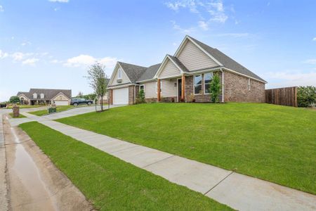 New construction Single-Family house 104 Skyline Dr, Glen Rose, TX 76043 - image