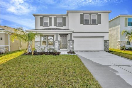 New construction Single-Family house 130 Mangrove Manor Dr, Apollo Beach, FL 33572 plan Holden - image