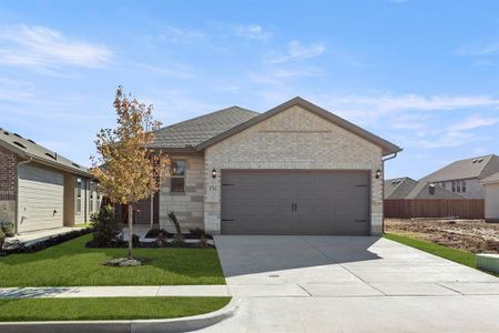 New construction Single-Family house 1713 Meadow Crest Dr, Aubrey, TX 76227 plan Cottonwood - image