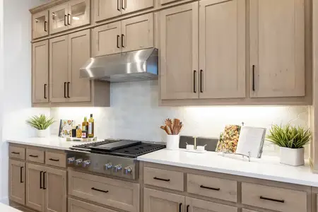 New construction Single-Family house 1223 Barbazzano Dr, Rockwall, TX 75087 plan Sheffield - image 12