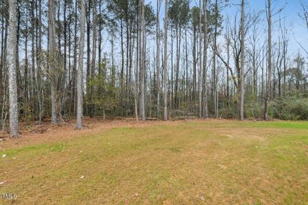 New construction Single-Family house 90 Blackberry Ln, Benson, NC 27504 null- photo 20 20