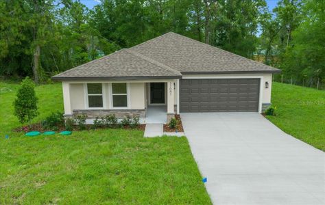 New construction Single-Family house 11041 Spoonbill Rd, Weeki Wachee, FL 34613 - image