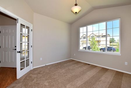 New construction Single-Family house 437 Vivid Ln, Windsor, CO 80550 null- photo 36 36