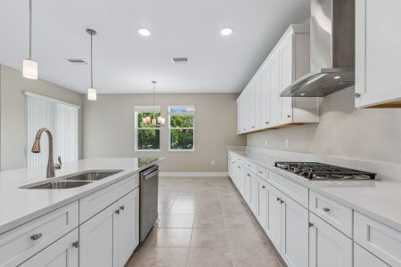 New construction Single-Family house 38462 Tobiano Lp, Dade City, FL 33525 plan Casanova - image 11