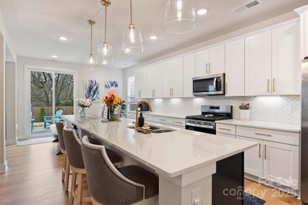 New construction Single-Family house 11009 N Commons Dr, Charlotte, NC 28213 - image 10