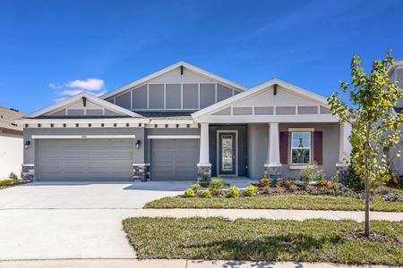 New construction Single-Family house 5379 Wolf Creek Dr, Apollo Beach, FL 33572 plan Bayshore I - image