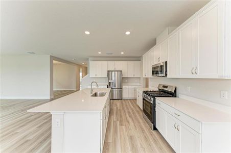 New construction Single-Family house 13718 Heartwood Wy, Parrish, FL 34219 plan Pelican - image 13