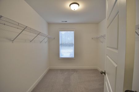 New construction Single-Family house 1059 Lexington Ave, Leland, NC 28451 plan Mt. Vernon - image 18