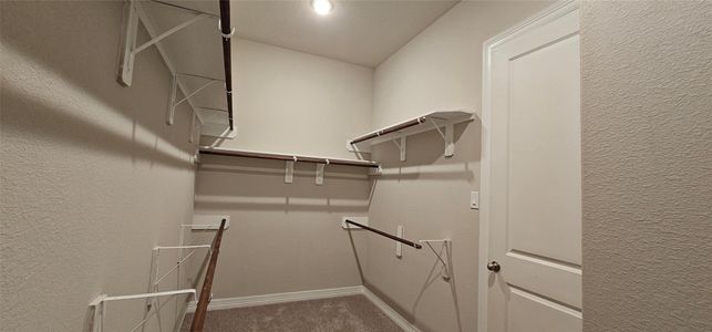 New construction Single-Family house 3801 Peacock Isle Dr, Dickinson, TX 77539 plan Magnolia Bayou - image 15