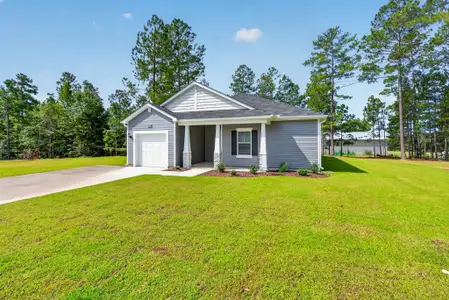 New construction Single-Family house 65 Jewel Tower Ln, Lillington, NC 27546 plan Embark - image