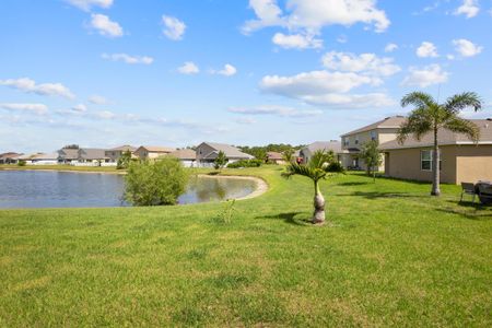 New construction Single-Family house 9534 Seaspray Dr Dr, Fort Pierce, FL 34945 null- photo 9 9