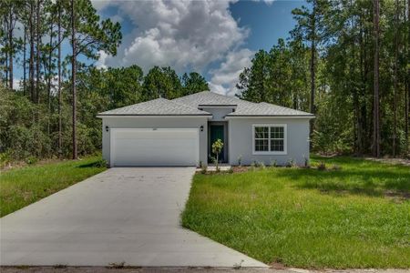 New construction Single-Family house 3 Hemlock Radial, Ocala, FL 34472 - photo 0