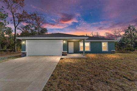 New construction Single-Family house 53 Guava Pl, Ocklawaha, FL 32179 - photo 0