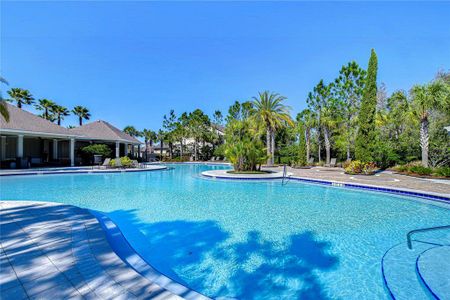 New construction Townhouse house 1291 Colt Creek Pl, Wesley Chapel, FL 33543 null- photo 91 91