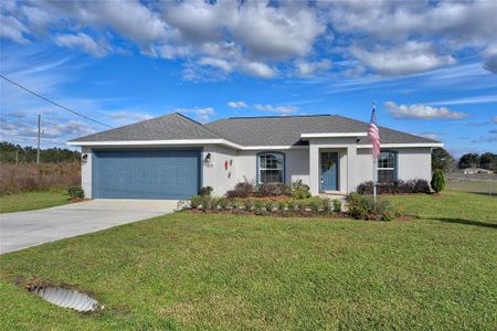 Silver Springs Shores by Perfect Deed Homes in Ocala - photo 0 0