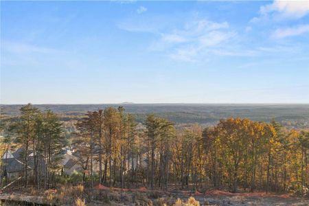 New construction Single-Family house 231 Laurel Vista Drive, Canton, GA 30114 Fullerton- photo 40 40