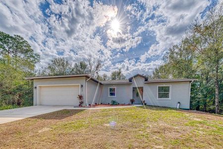 New construction Single-Family house 229 Starling Ct, Poinciana, FL 34759 - image