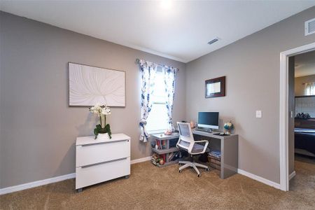 New construction Single-Family house 10826 Trailing Vine Dr, Tampa, FL 33610 null- photo 33 33