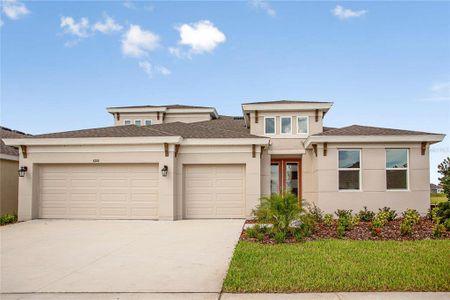 New construction Single-Family house 10151 Meadowrun Drive, Lithia, FL 33547 - photo 0