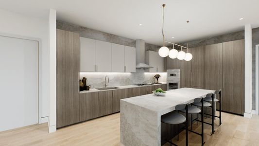 New construction Condo house 1711 Allen Pkwy, Unit 2502, Houston, TX 77019 - image 9