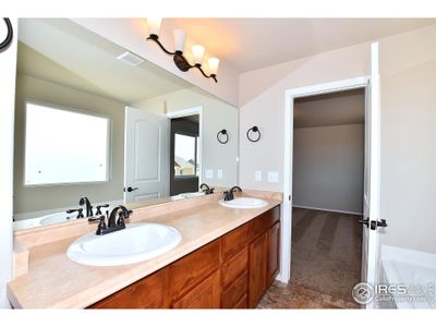 New construction Single-Family house 2407 Ivywood Ln, Johnstown, CO 80534 - image 12