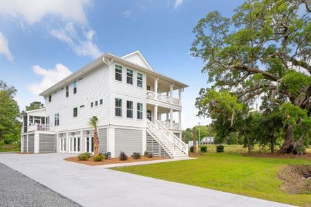 New construction Single-Family house 2151 Arthur Rose Ln, Johns Island, SC 29455 null- photo 2 2