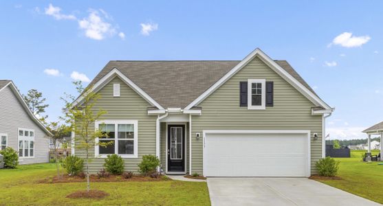 New construction Single-Family house 1173 Wading Point Blvd, Huger, SC 29450 null- photo 0