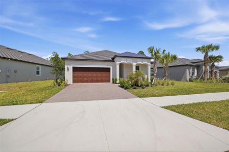 New construction Single-Family house 9776 Minnow Ray Dr, Land O' Lakes, FL 34638 plan Morningtide II - image