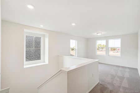 New construction Single-Family house 1594 Farmstead St, Brighton, CO 80601 null- photo 21 21