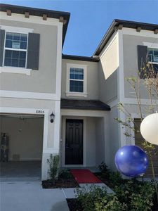 New construction Townhouse house 10805 Fanning Springs Ct, Tampa, FL 33647 - image
