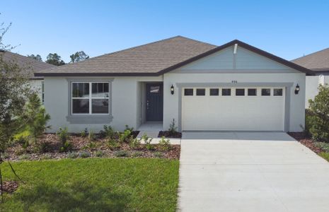 New construction Single-Family house 446 Pine Tree Blvd, Lake Alfred, FL 33850 Hanover- photo 2 2