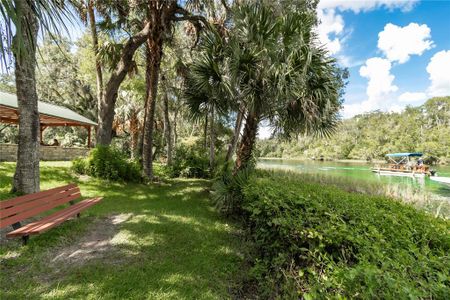 New construction Single-Family house 19610 Sw 93Rd Pl, Dunnellon, FL 34432 null- photo 46 46