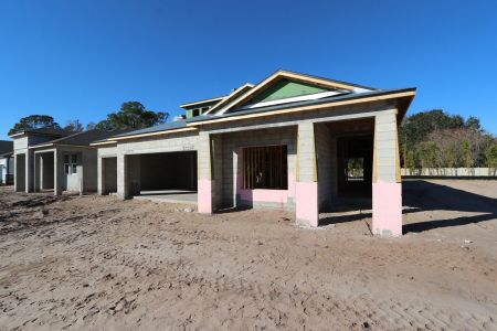 New construction Single-Family house 20267 Oriana Loop, Land O' Lakes, FL 34638 Newport II Bonus- photo 37 37