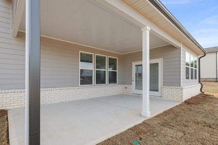 New construction Single-Family house 805 Dobby Wy, Mcdonough, GA 30252 Biltmore- photo 52 52