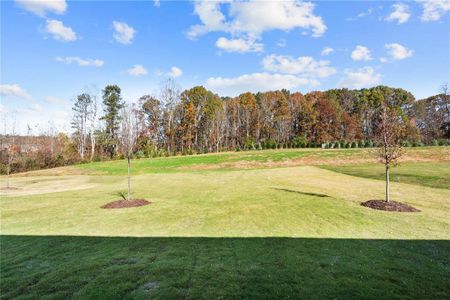 New construction Single-Family house 2780 Marie Way, Cumming, GA 30028 null- photo 39 39