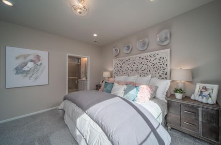 New construction Single-Family house 4885 N Rome St, Aurora, CO 80019 plan Voyager - image 13
