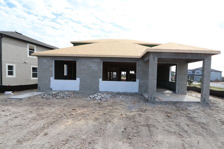 New construction Single-Family house 31205 Denham Ridge Ln, Wesley Chapel, FL 33545 Santa Monica- photo 16 16